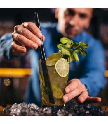 Gastroback 41143 Ice Maker Bartender Pro