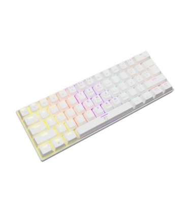 White Shark Shinobi GK-2022 Blue switch, White US