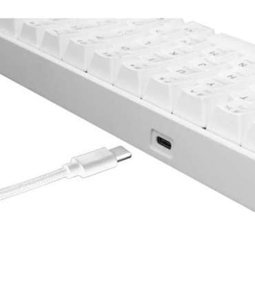 White Shark Shinobi GK-2022 Blue switch, White US