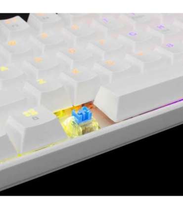 White Shark Shinobi GK-2022 Blue switch, White US