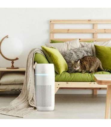 Homedics AP-PET35WT-EU TotalClean PetPlus 5 in 1 Air Purifier