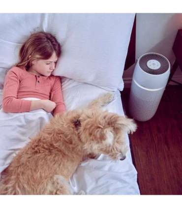Homedics AP-PET35WT-EU TotalClean PetPlus 5 in 1 Air Purifier