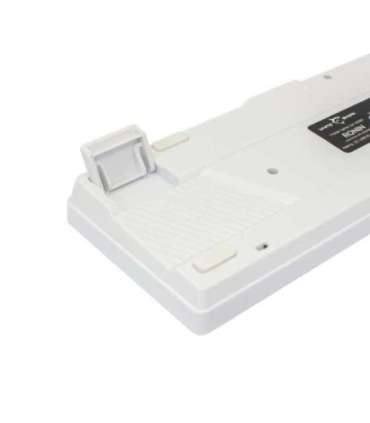 White Shark GK-2201 RONIN White-US