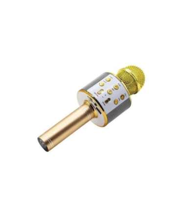 Manta MIC10-G Gold