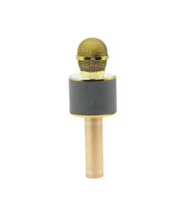 Manta MIC10-G Gold