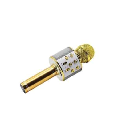 Manta MIC10-G Gold