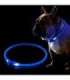 KABB LED Collar for Dogs and Cats Blue