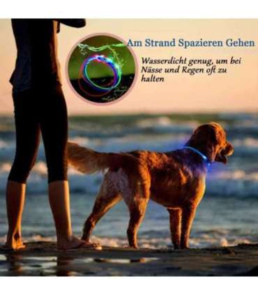 KABB LED Collar for Dogs and Cats Blue