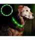 Anicoll LED Collar for Dogs and Cats Green