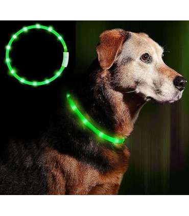 Anicoll LED Collar for Dogs and Cats Green