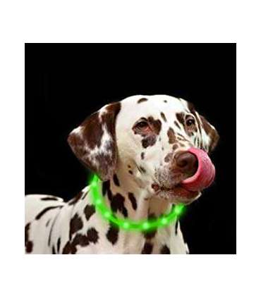 Anicoll LED Collar for Dogs and Cats Green