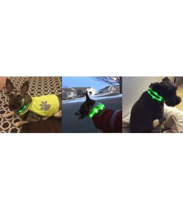 Anicoll LED Collar for Dogs and Cats Green