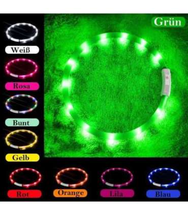 Anicoll LED Collar for Dogs and Cats Green