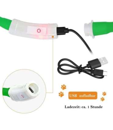 Anicoll LED Collar for Dogs and Cats Green