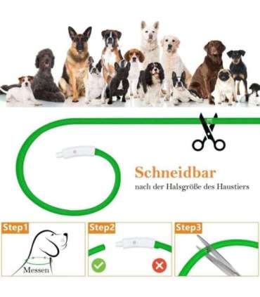 Anicoll LED Collar for Dogs and Cats Green