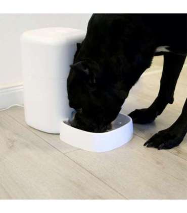 Tellur Smart WiFi Pet Feeder, UltraHD Camera, 4L white