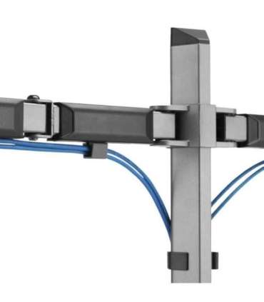 White Shark GMS-3205 Amenhotep II