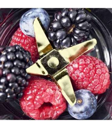 Gastroback 41033 Design Smoothie Maker Mix & Go