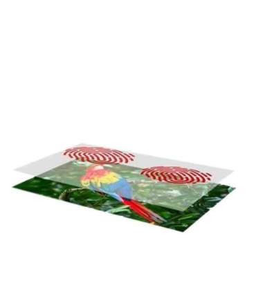 Kodak Mini Shot 2  Camera and Printer Combo Yellow