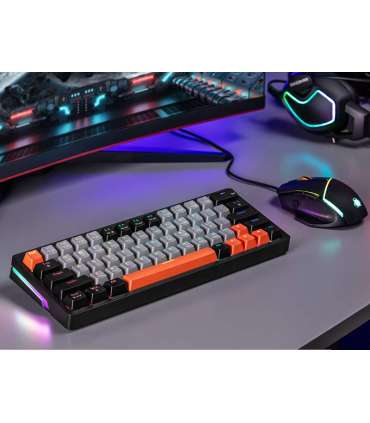 Tracer 47297 Gamezone Evo3 Hot SWAP 63 Grey