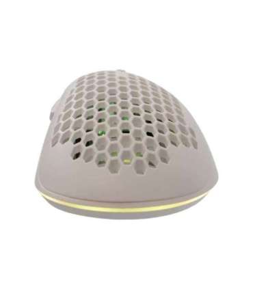 Baracuda BGM-032 Coral White