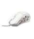 White Shark GM-5016 Ector White