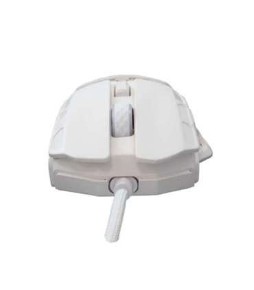 White Shark GM-5016 Ector White