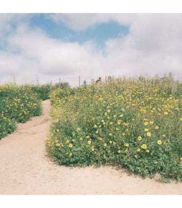 GT Photo GT24FILM Photo Film 35mm