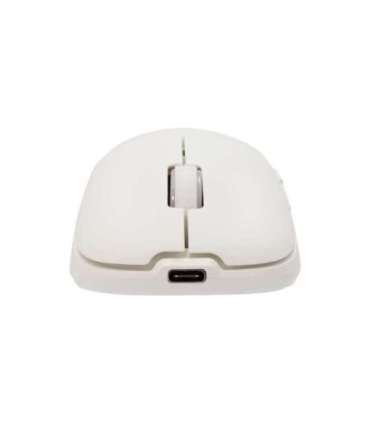 White Shark WGM-5015 Aero White