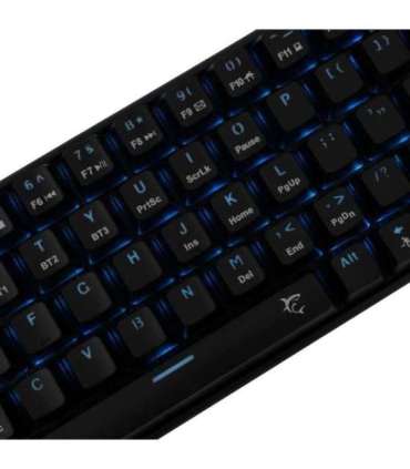 White Shark  GK-003111 Premium Line Kaiken US