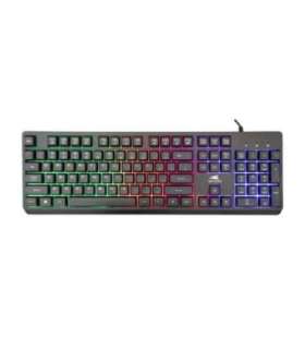 Baracuda BGK-02114 Starfish Black US