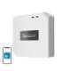 Smart Hub WiFi/RF 433MHz Sonoff RF BridgeR2