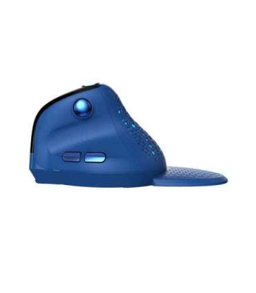 Bezprzewodowa mysz pionowa Delux M618XSD BT+2.4G RGB (niebieska)
