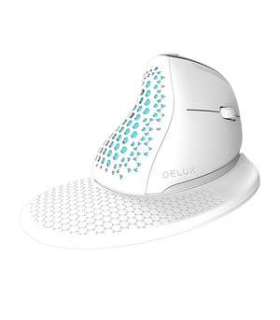 Delux M618XSD Wireless Vertical Mouse