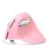 Wireless Vertical Mouse Delux M618Mini DB BT+2.4G 2400DPI (pink)