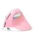 Wireless Vertical Mouse Delux M618Mini DB BT+2.4G 2400DPI (pink)