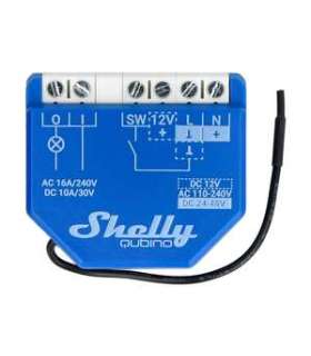 Controller Shelly Qubino Wave 1