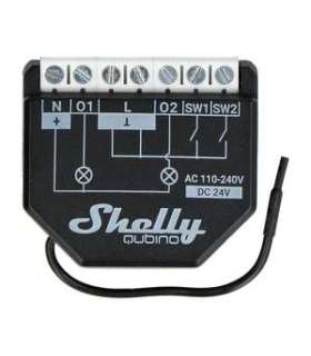 Controller Shelly Qubino Wave2PM