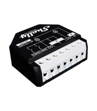 Controller Shelly Qubino Wave2PM