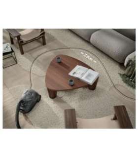 Vacuum cleaner ELECTROLUX EB31C1DB