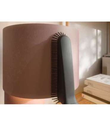 Vacuum cleaner ELECTROLUX EP61H21WET