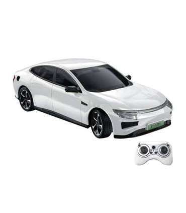 Remote control RC car 1:16 Double Eagle (white) Electric car E725-003
