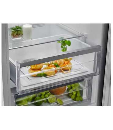 Fridge ELECTROLUX LNT7ME36G2