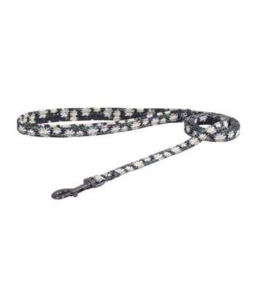 Dogness walking set leash+harness for dog (multicolor)