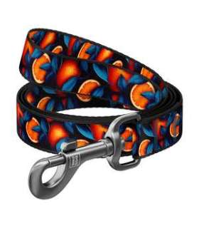Nylon dog leash, pattern ''Oranges'' length 122 cm Waudog