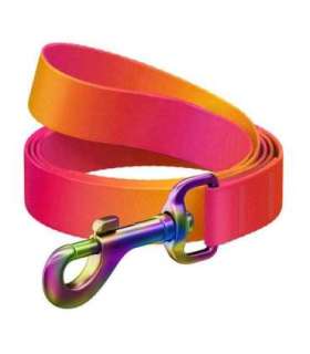 WAUDOG gradient nylon dog leash, 122 cm long, orange