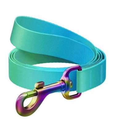 WAUDOG gradient nylon dog leash, 20 mm wide, 122 cm long blue