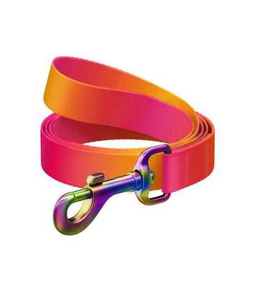 WAUDOG gradient nylon dog leash, 15mm wide, 122cm long, orange