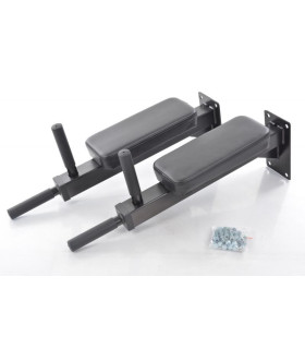 Wall Mounted Dip Bar DY-DR-1064
