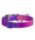 Nylon dog collar with QR code WAUDOG 15 mm wide, 25-35 cm long purple